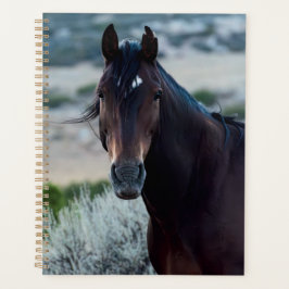 Agenda Wild Horse Planner