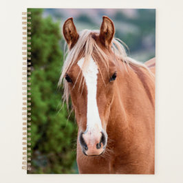 Agenda Wild Horse Planner