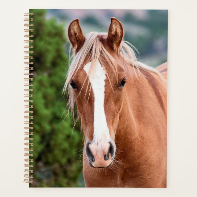 Agenda Wild Horse Planner (Anverso)