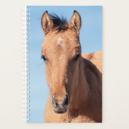 Agenda Wild Horse Planner