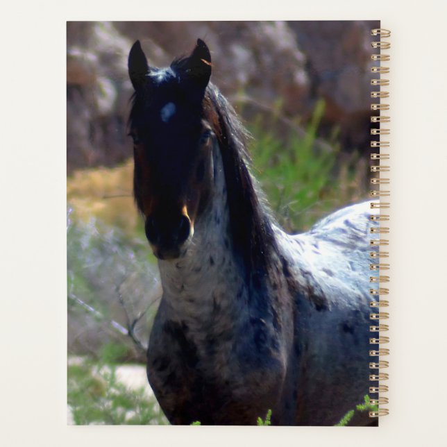 Agenda Wild Stallion in Utah (Reverso)
