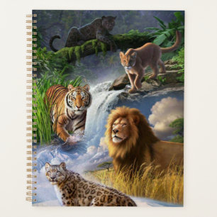 Agenda Wildcats