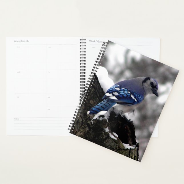 Agenda Winter Blue Jay (Demostración)