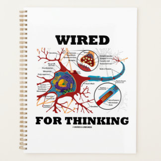 Agenda Wired Para Pensar La Sinapsis De Neuronas Neuropsi