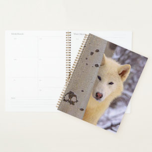 Agenda Wolf