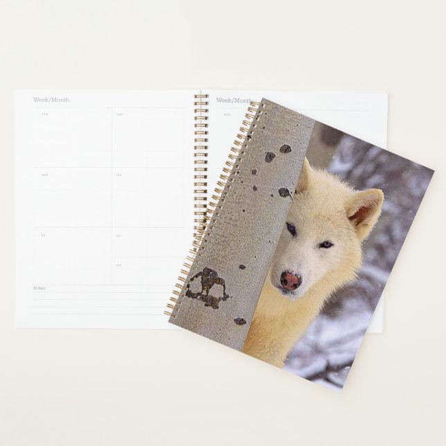 Agenda Wolf (Demostración)