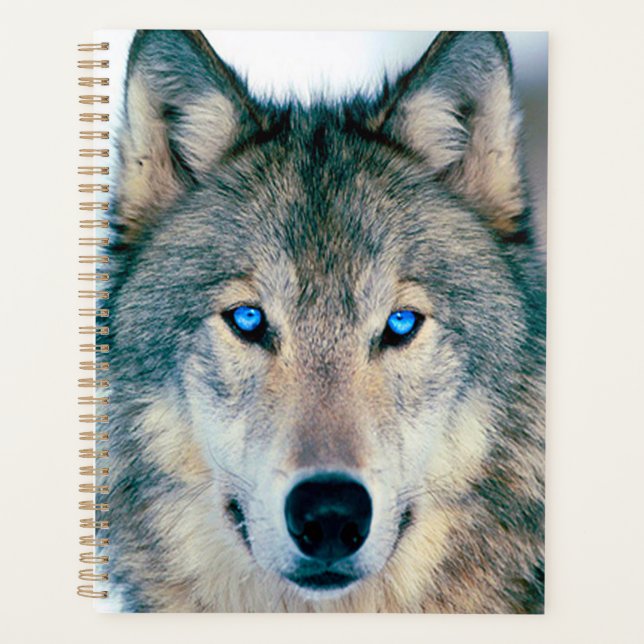 Agenda Wolf (Anverso)