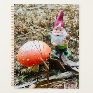 Agenda Woodland Gnomes