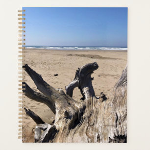 Agenda Yaquina Bay State Recreation Site, Newport, Oregón