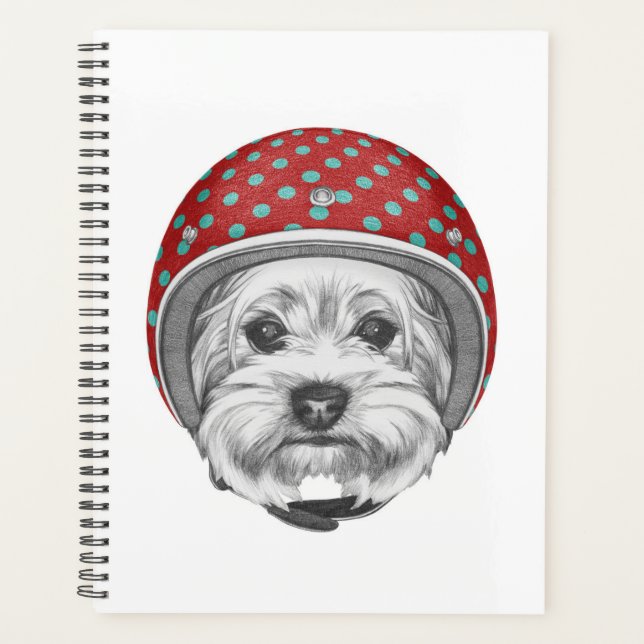 Agenda Yorkshire Terrier Daredevil (Anverso)