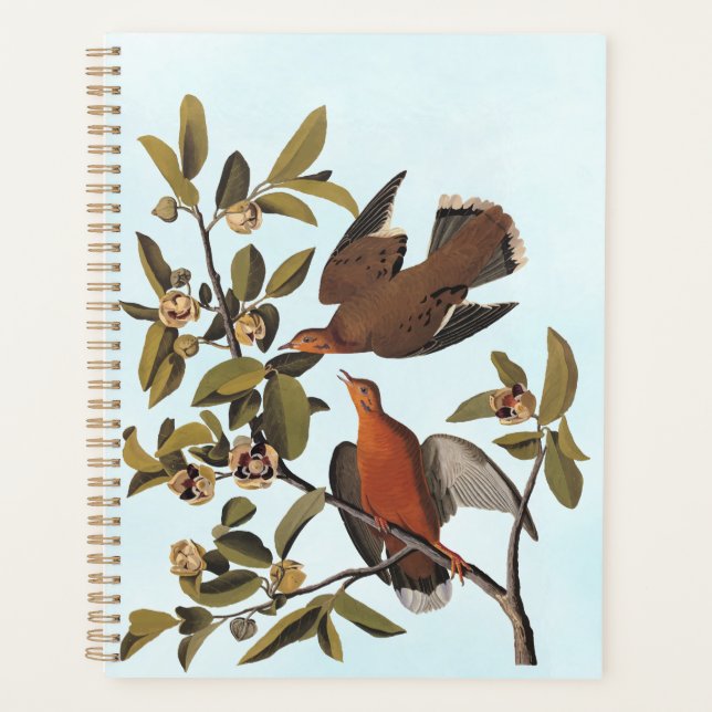 Agenda Zenaida de Audubon vierte pájaros en rama de árbol (Anverso)