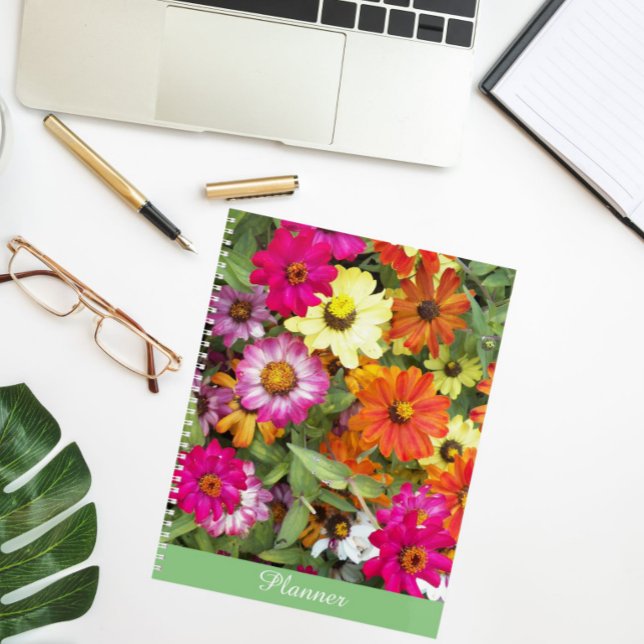 Agenda Zinnia Flower Garden Floral (In Situ)