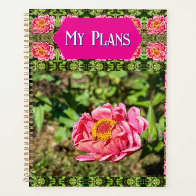 Agenda Zinnia rosa con alfombra del centro amarillo (Anverso)