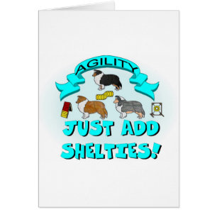 Agilidad - apenas añada Shelties