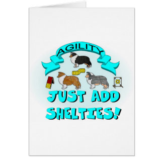 Agilidad - apenas añada Shelties