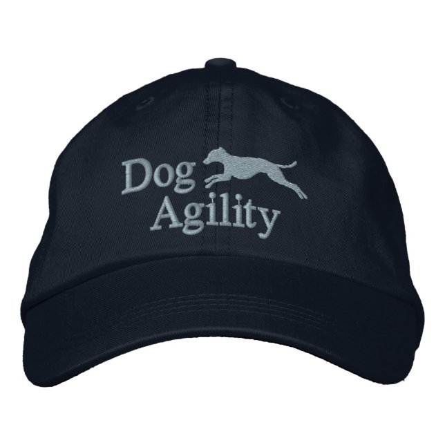 Agility Gorra bordado de yeso italiano (azul) (Anverso)