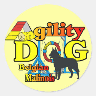 Agility Pegatinas belgas de regalo de Malinois