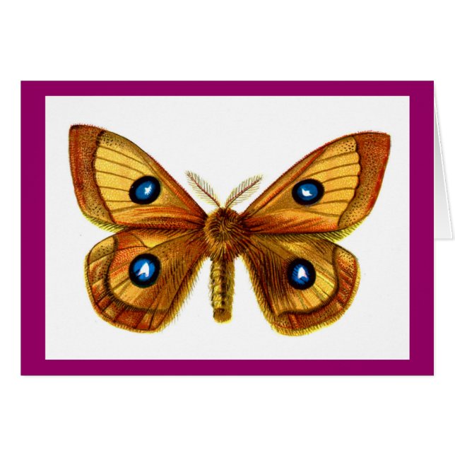 Aglia Tau Butterfly (Anverso (Horizontal))