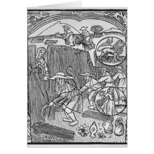 Agosto, cosechando, Leo