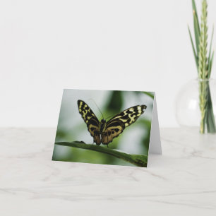 Agradable para conocer tu tarjeta