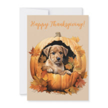 Agradables tarjetas de color de manzana de acción