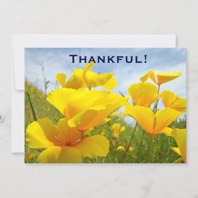 ¡Agradecido! El personalizado de las invitaciones (Anverso)