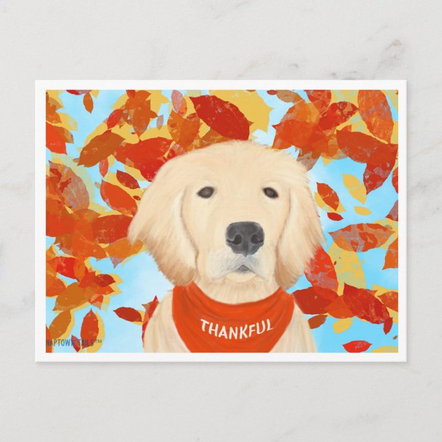 Agradecido - Tarjeta Postal de Caer en Mi Vida (Anverso)