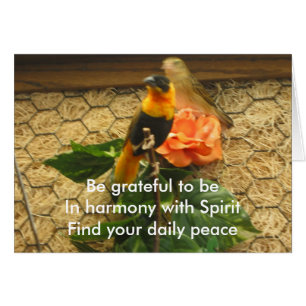 Agradecidos Haiku/Birds On Card