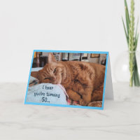 50.ª tarjeta de cumpleaños con gato de cabezada