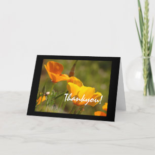 Agradecimiento ¡Amapolas de California gracias! Tarjeta