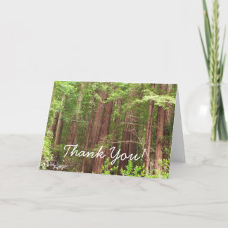 Agradecimiento Árboles de secuoya en Muir Woods Tarjeta de agrade
