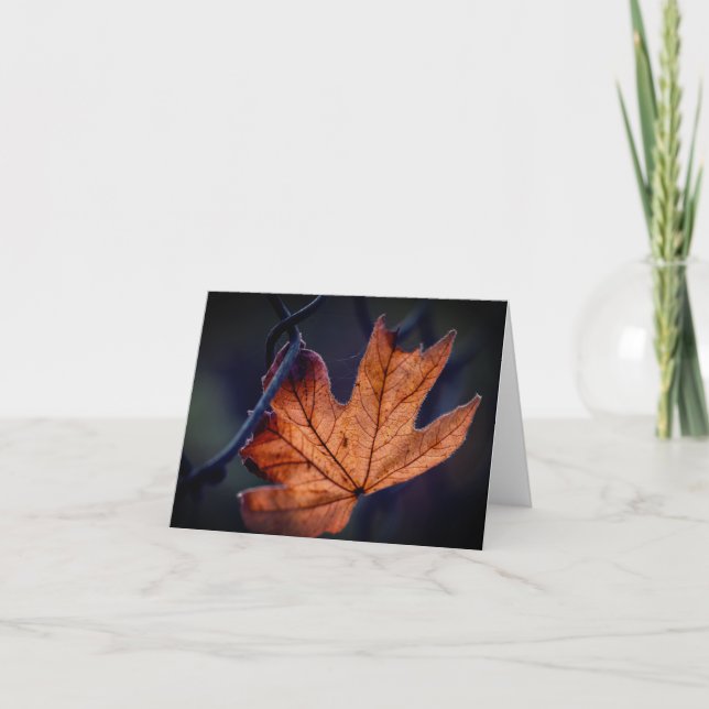 Agradecimiento Autumn Maple Leaf plegado tarjeta de agradecimient (Anverso)