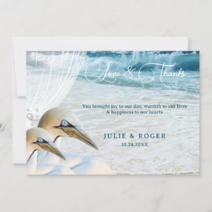 Agradecimiento Beach Birds Gannet Photo Boda Tarjeta de agradecim