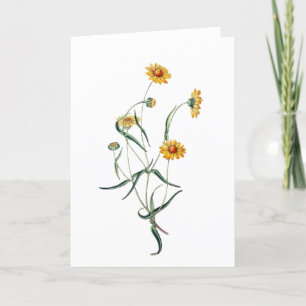 Agradecimiento Bonita tarjeta de flores silvestres de las margari