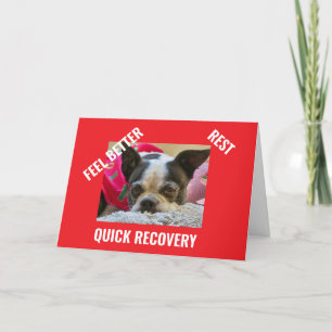 Agradecimiento BOSTON TERRIER obtener tarjeta de buena calidad
