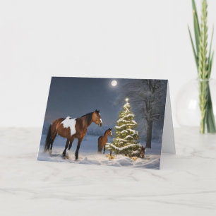 Agradecimiento Caballos con la tarjeta de felicitación de los Nav