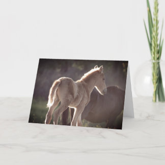 Agradecimiento CABALLOS SALVAJES DE UTAH FOAL plegado Tarjeta de
