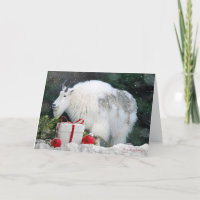 Cabra de montaña en Christmastime - Tarjeta en bla