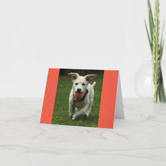 Agradecimiento Cachorro con tarjeta de cumpleaños de Ball