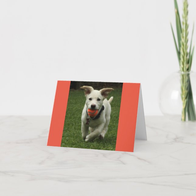 Agradecimiento Cachorro con tarjeta de cumpleaños de Ball (Anverso)