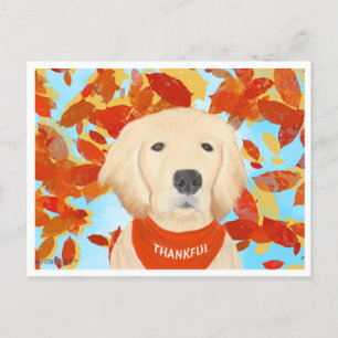 Agradecimiento - Caer en mi postal de vida