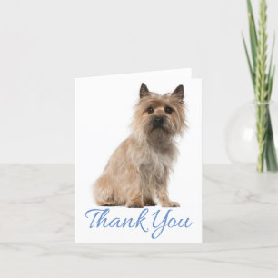 Agradecimiento Cairn Terrier Perro Cachorro Gracias Tarjeta De No