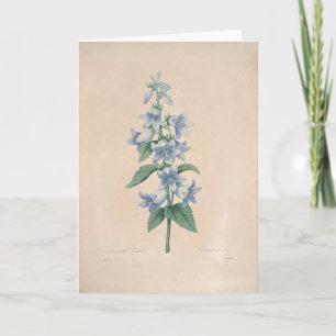 Agradecimiento Campanula por la tarjeta de condolencia botánica