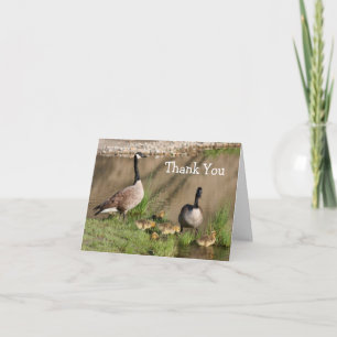 Agradecimiento Canadá Goose 2 Family Nature Tarjeta de agradecimi