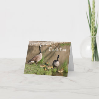 Agradecimiento Canadá Goose 2 Family Nature Tarjeta de agradecimi