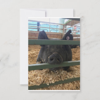 Agradecimiento Cerdo en blanco dentro de la tarjeta