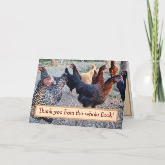 Agradecimiento Chickens Humor Funny Barnyard - Tarjeta de agradec