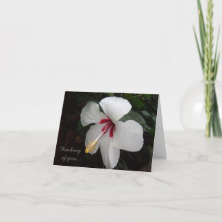 Agradecimiento Creer la tarjeta de usted - flores