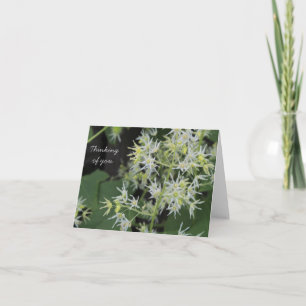 Agradecimiento Creer la tarjeta de usted - flores