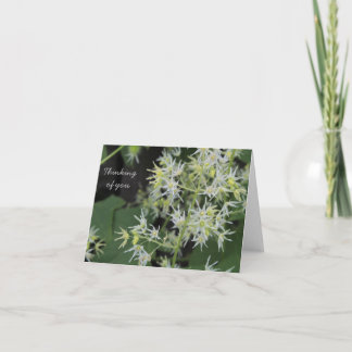Agradecimiento Creer la tarjeta de usted - flores